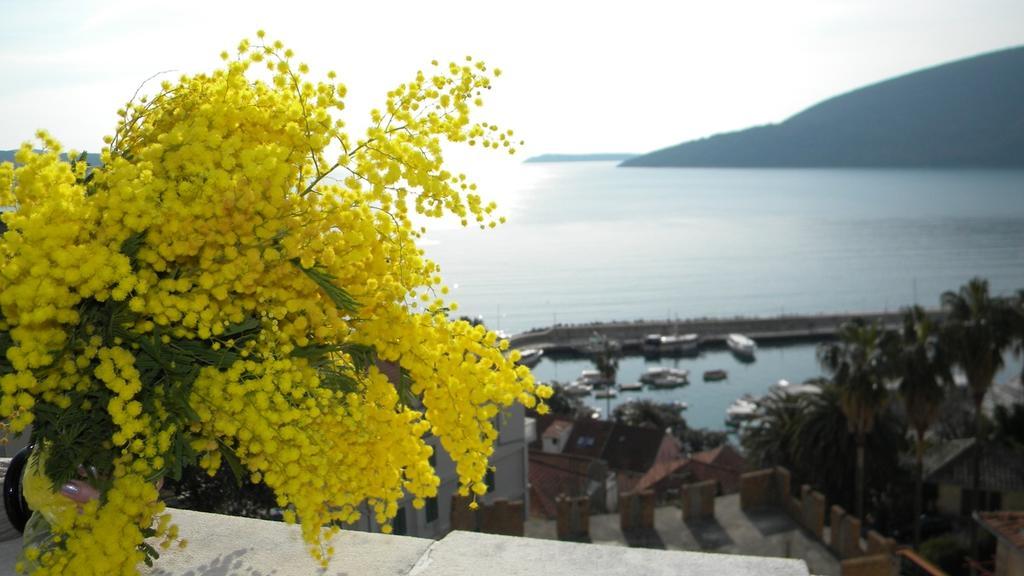 Apartamento Apatments Stanojlovic Djenovic Herceg Novi Exterior foto