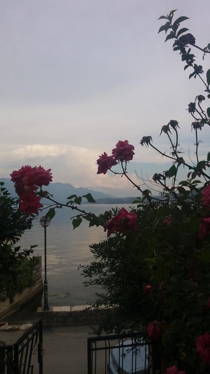 Apartamento Apatments Stanojlovic Djenovic Herceg Novi Exterior foto