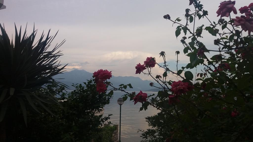 Apartamento Apatments Stanojlovic Djenovic Herceg Novi Exterior foto